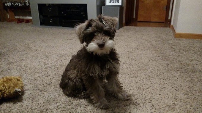 IMG_20170323_205110932