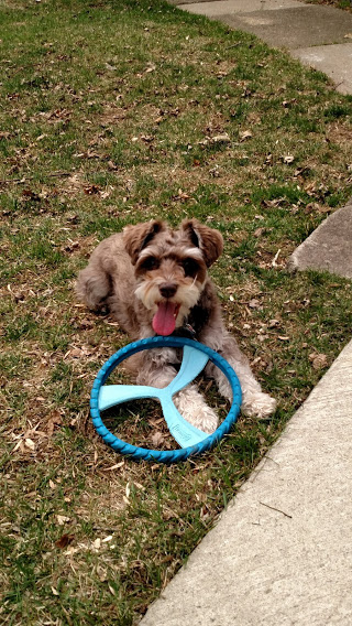 IMG_20180424_145231314