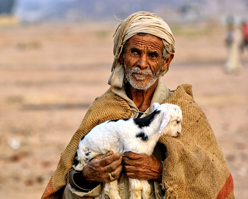 egypt-1003078_960_720